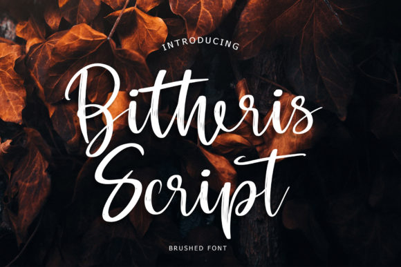 Bitheris: A Premium Script Font for Brand Identity
