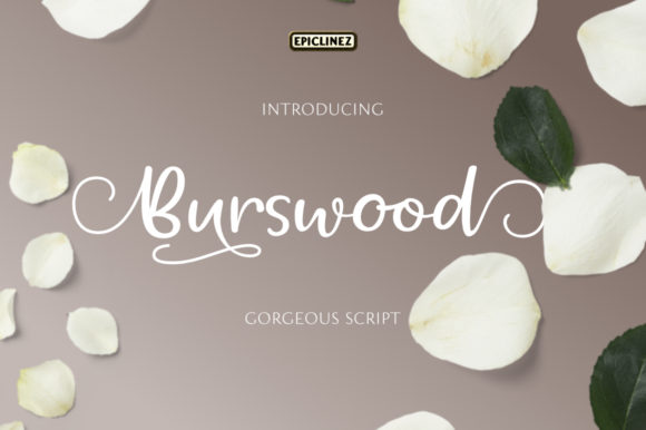 Burswood: A Premium Handwritten Font for Brand Identity