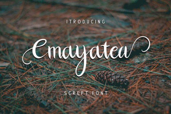 Cmayatea: A Tropical Script Font for Brand Identity