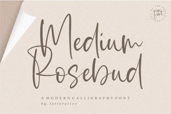 Medium Rosebud: A Handwritten Font for Branding