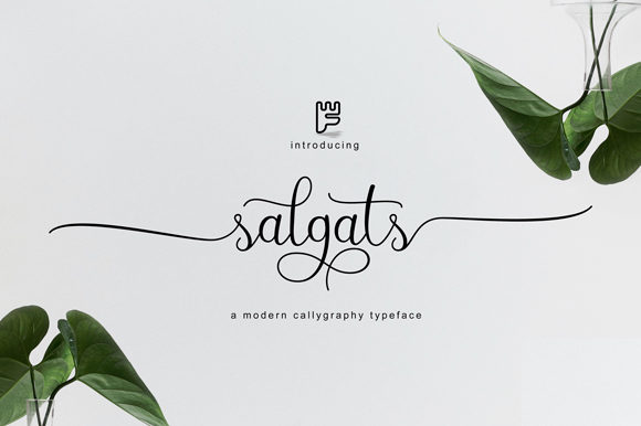 Salgats: A Real-World Review for Designers
