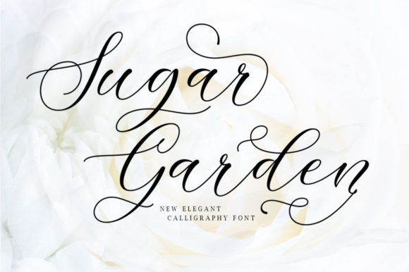 Sugar Garden: A Premium Script Font for Web Design