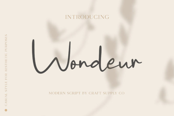 Wondeur: A Romantic Script Font for Marketers